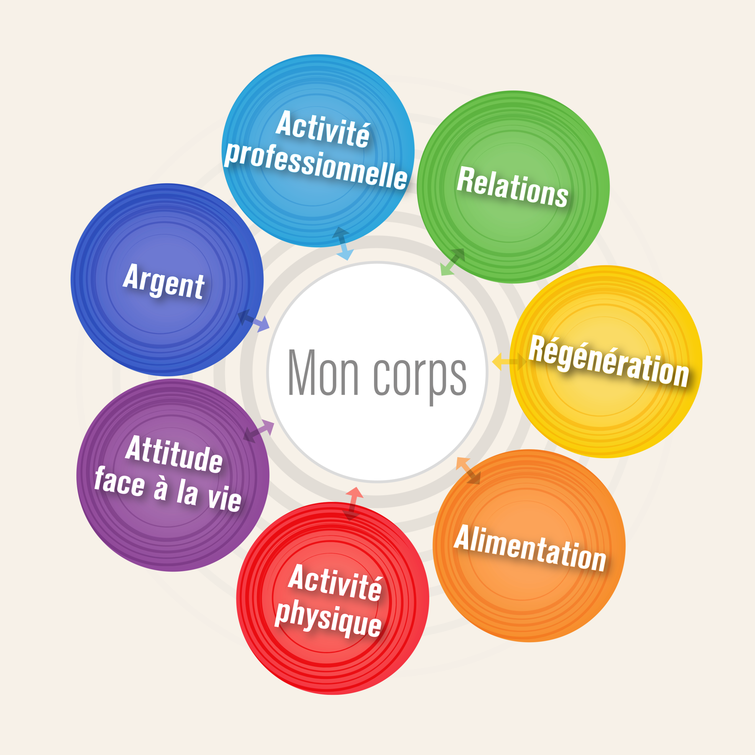 Roue des 7 habitudes de vie : activité professionnelle, relations, régénération, alimentation, activité physique, attitude face à la vie, argent, autour du corps